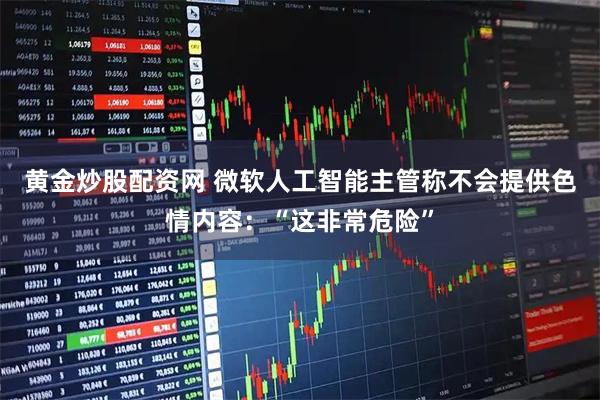 黄金炒股配资网 微软人工智能主管称不会提供色情内容：“这非常危险”