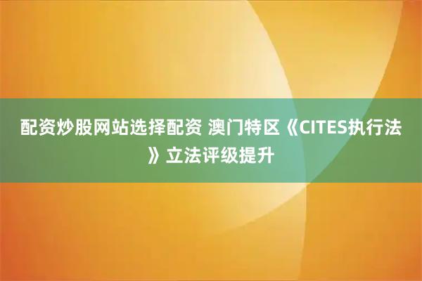 配资炒股网站选择配资 澳门特区《CITES执行法》立法评级提升
